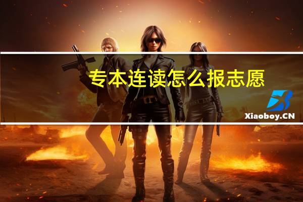 专本连读怎么报志愿