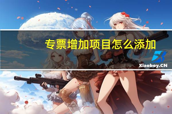 专票增加项目怎么添加