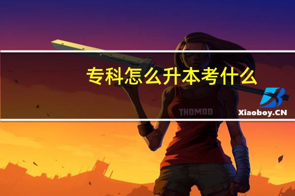 专科怎么升本考什么