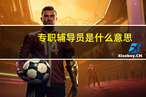 专职辅导员是什么意思