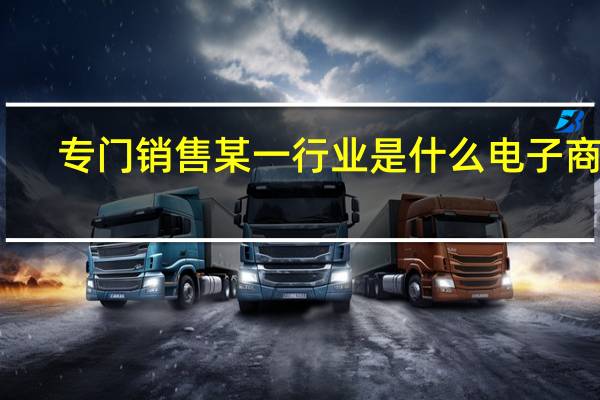 专门销售某一行业是什么电子商务