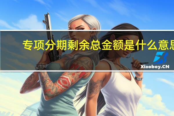 专项分期剩余总金额是什么意思