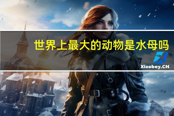 世界上最大的动物是水母吗