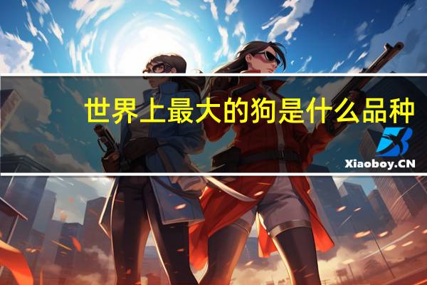 世界上最大的狗是什么品种