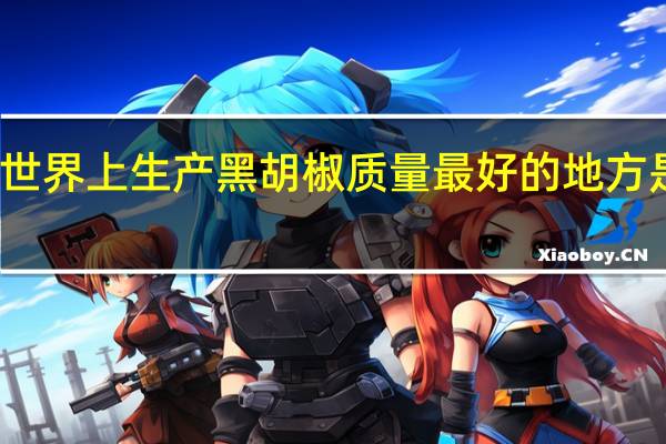 世界上生产黑胡椒质量最好的地方是哪里