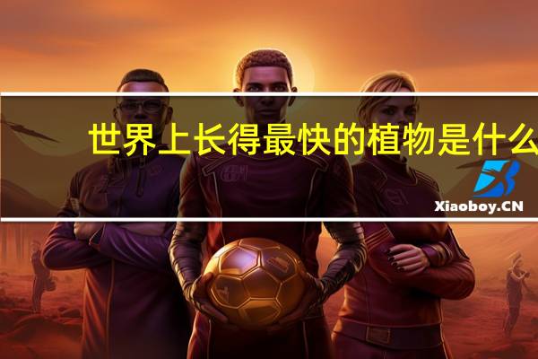 世界上长得最快的植物是什么
