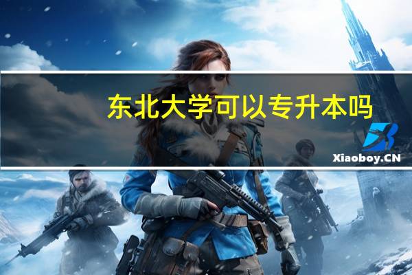 东北大学可以专升本吗