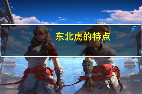 东北虎的特点
