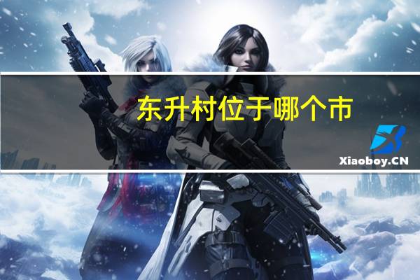 东升村位于哪个市