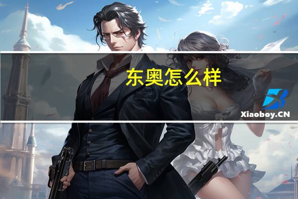 东奥怎么样