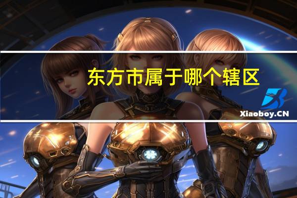 东方市属于哪个辖区