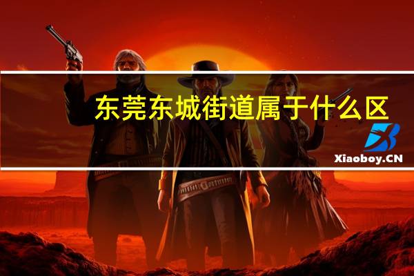 东莞东城街道属于什么区