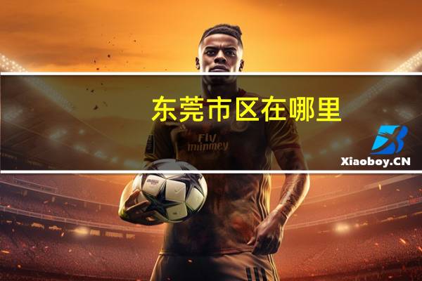 东莞市区在哪里