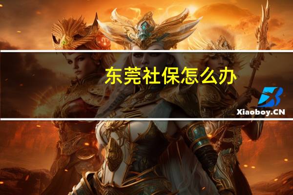 东莞社保怎么办