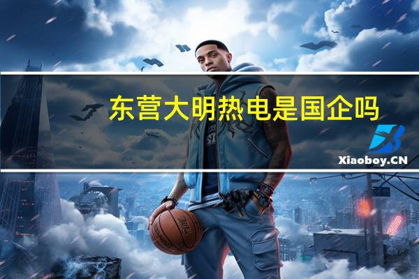 东营大明热电是国企吗