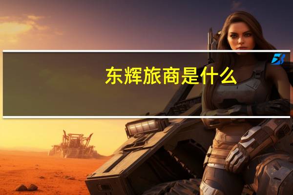 东辉旅商是什么