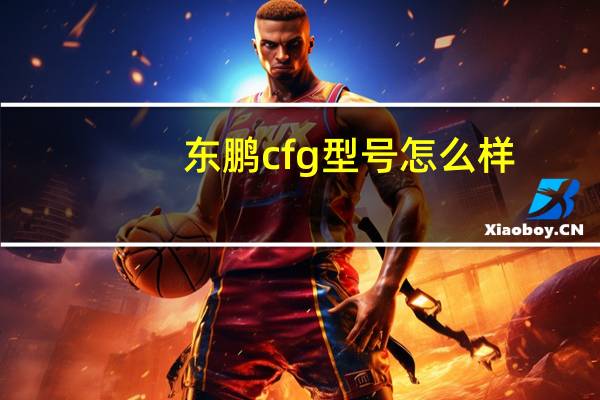 东鹏cfg型号怎么样