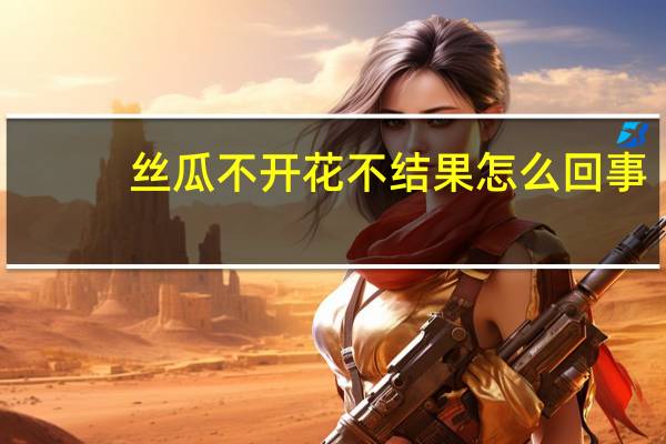 丝瓜不开花不结果怎么回事