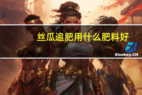 丝瓜追肥用什么肥料好