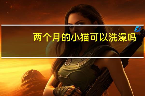 两个月的小猫可以洗澡吗