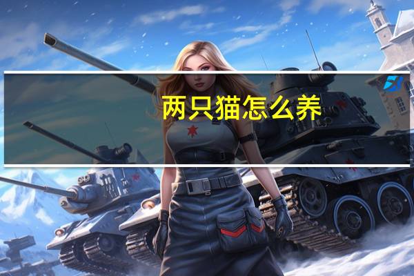 两只猫怎么养