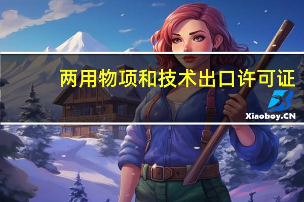 两用物项和技术出口许可证，怎么办理