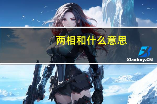 两相和什么意思