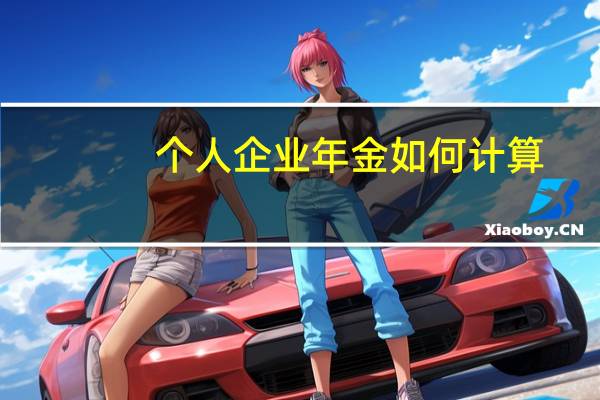 个人企业年金如何计算