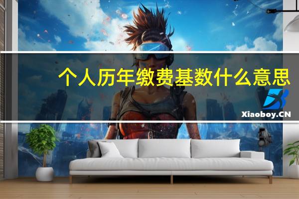 个人历年缴费基数什么意思