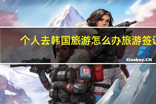 个人去韩国旅游怎么办旅游签证？？