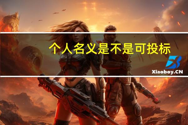 个人名义是不是可投标