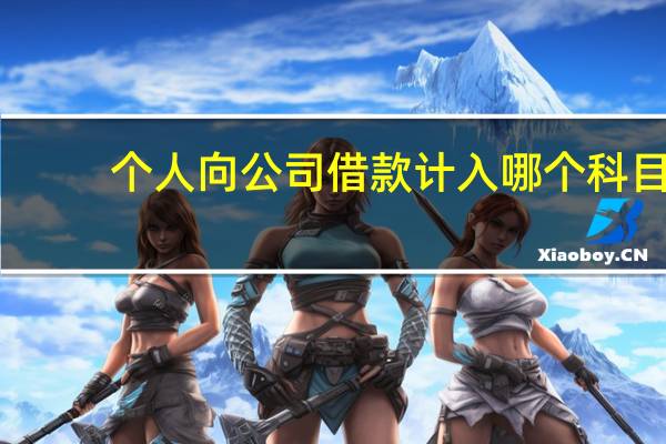 个人向公司借款计入哪个科目