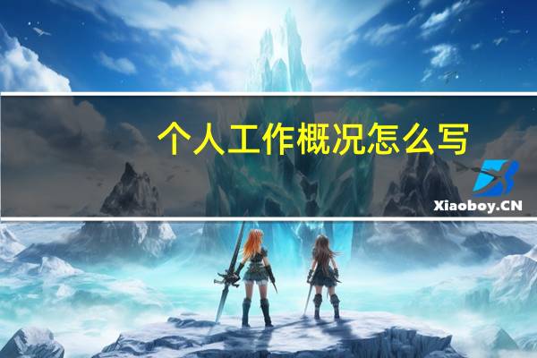个人工作概况怎么写