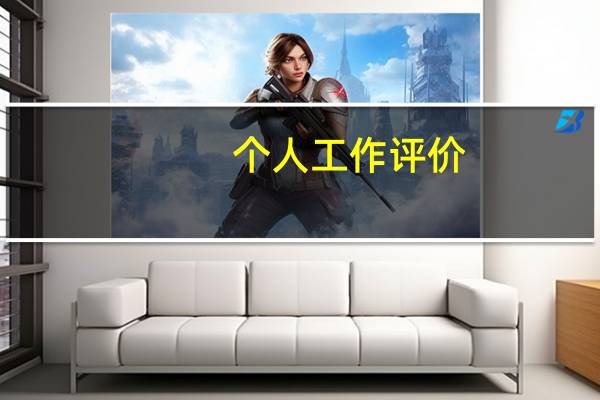 个人工作评价