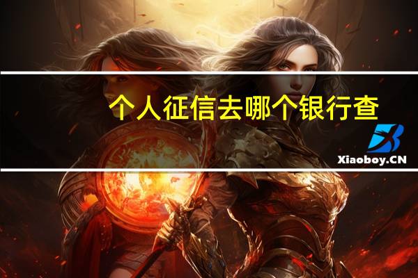 个人征信去哪个银行查
