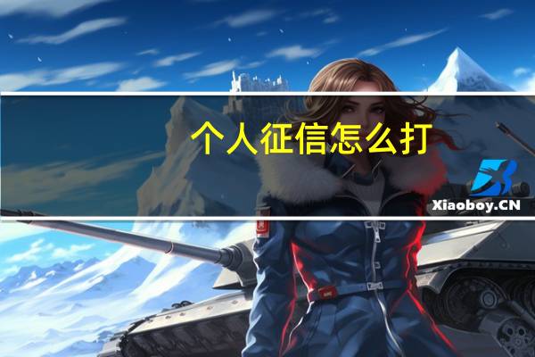 个人征信怎么打