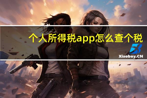 个人所得税app怎么查个税