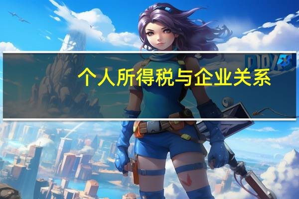个人所得税与企业关系