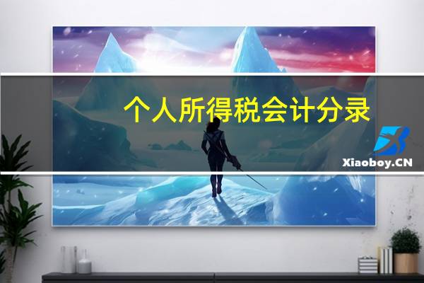 个人所得税会计分录
