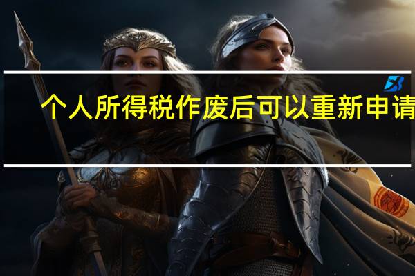 个人所得税作废后可以重新申请吗