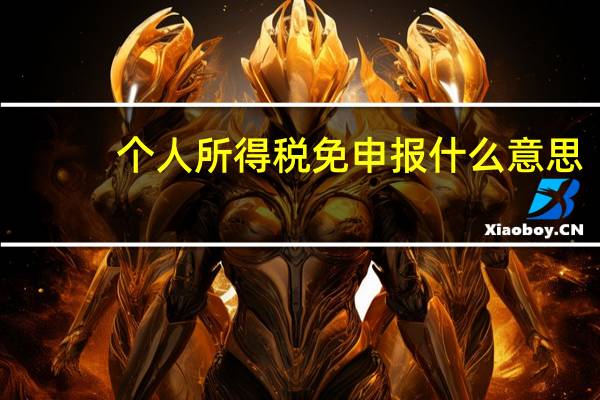 个人所得税免申报什么意思