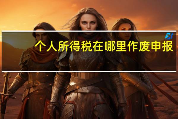 个人所得税在哪里作废申报