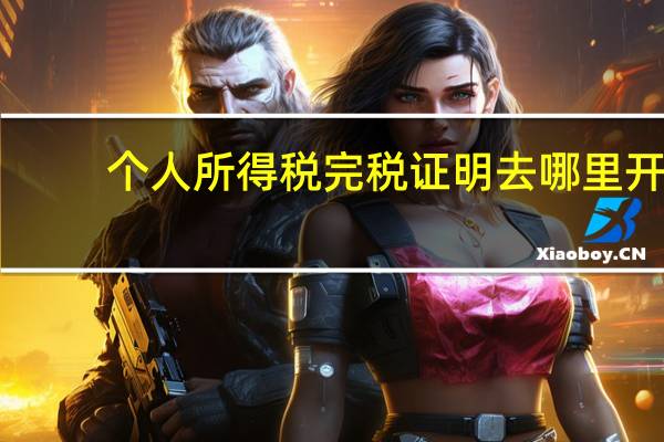 个人所得税完税证明去哪里开