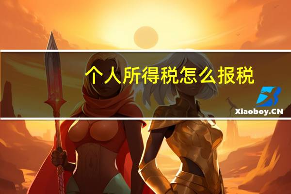 个人所得税怎么报税