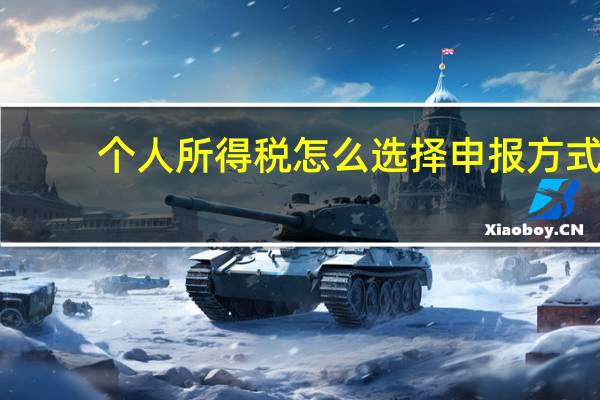 个人所得税怎么选择申报方式