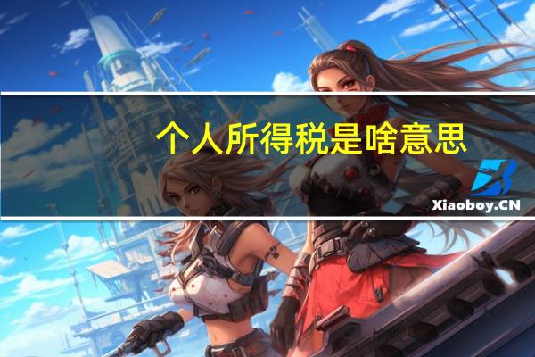 个人所得税是啥意思