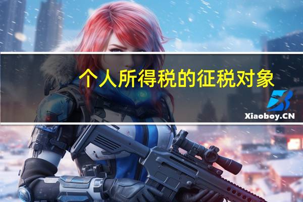 个人所得税的征税对象