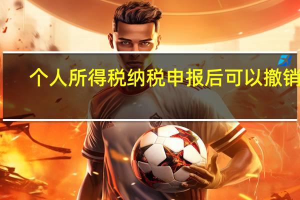个人所得税纳税申报后可以撤销吗