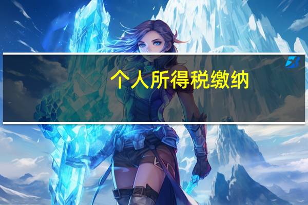 个人所得税缴纳