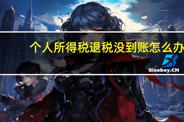 个人所得税退税没到账怎么办